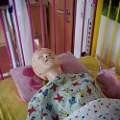 Pflegepuppe Nursing Kid